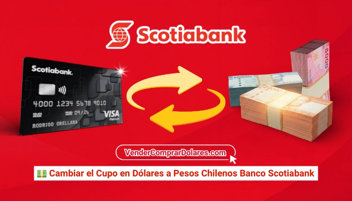 Como traspasar el cupo internacional a nacional Banco Scotiabank (Cupo Dólar)